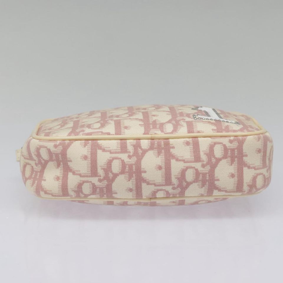 Dior Trotter  Canvas Clutch Bag