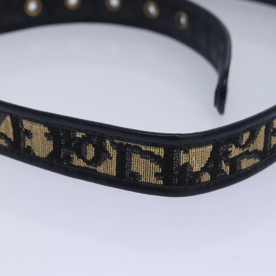 Dior  Canvas Belt
