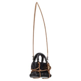 Christian Dior Morgane Tschiember Limited Edition Lady Dior Bag