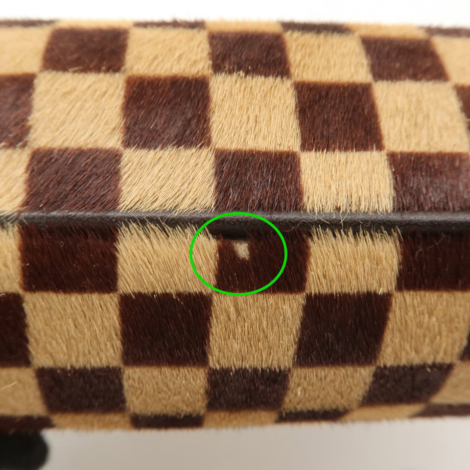 Louis Vuitton Damier Sauvage Tiger Hand Bag Brown M92132