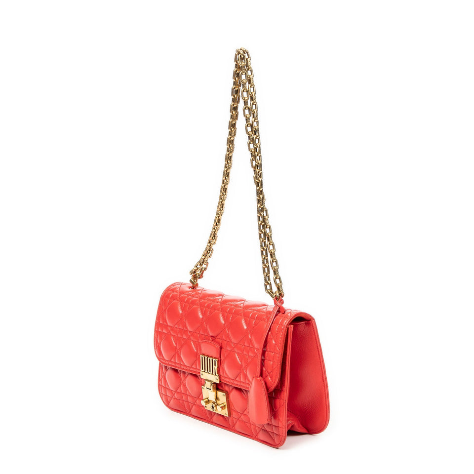 Small Dioraddict Flap
