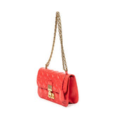 Small Dioraddict Flap