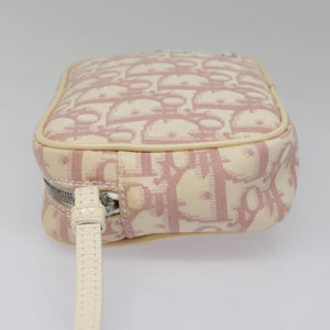 Dior Trotter  Canvas Clutch Bag