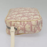 Dior Trotter  Canvas Clutch Bag