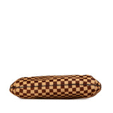 Brown Louis Vuitton Damier Sauvage Tigre Handbag