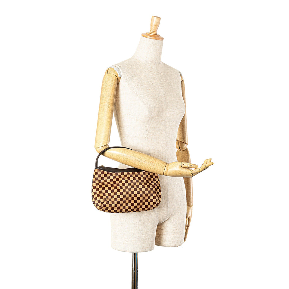 Brown Louis Vuitton Damier Sauvage Tigre Handbag