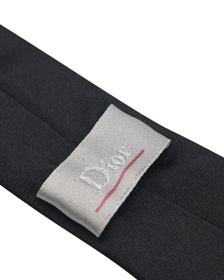 Dior Homme Beetle Skinny Tie in Black Silk