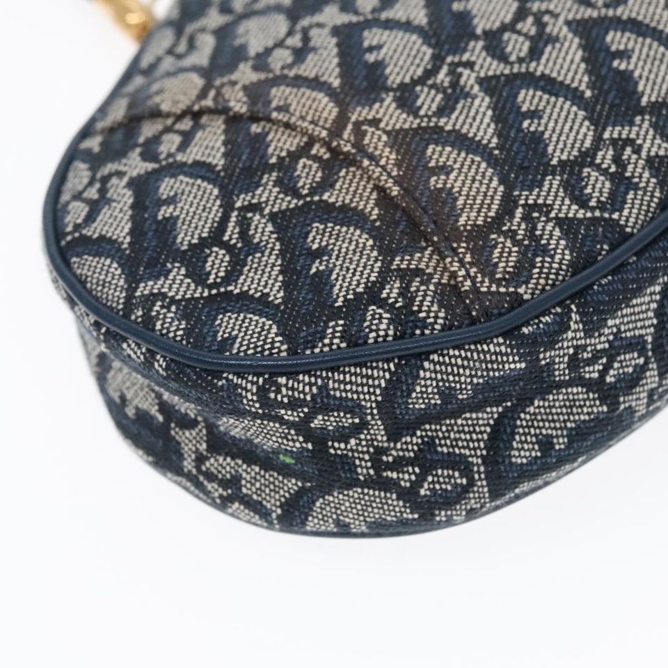 Dior Saddle  Canvas Shoulder Bag