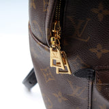 Palm Springs Backpack MM Monogram