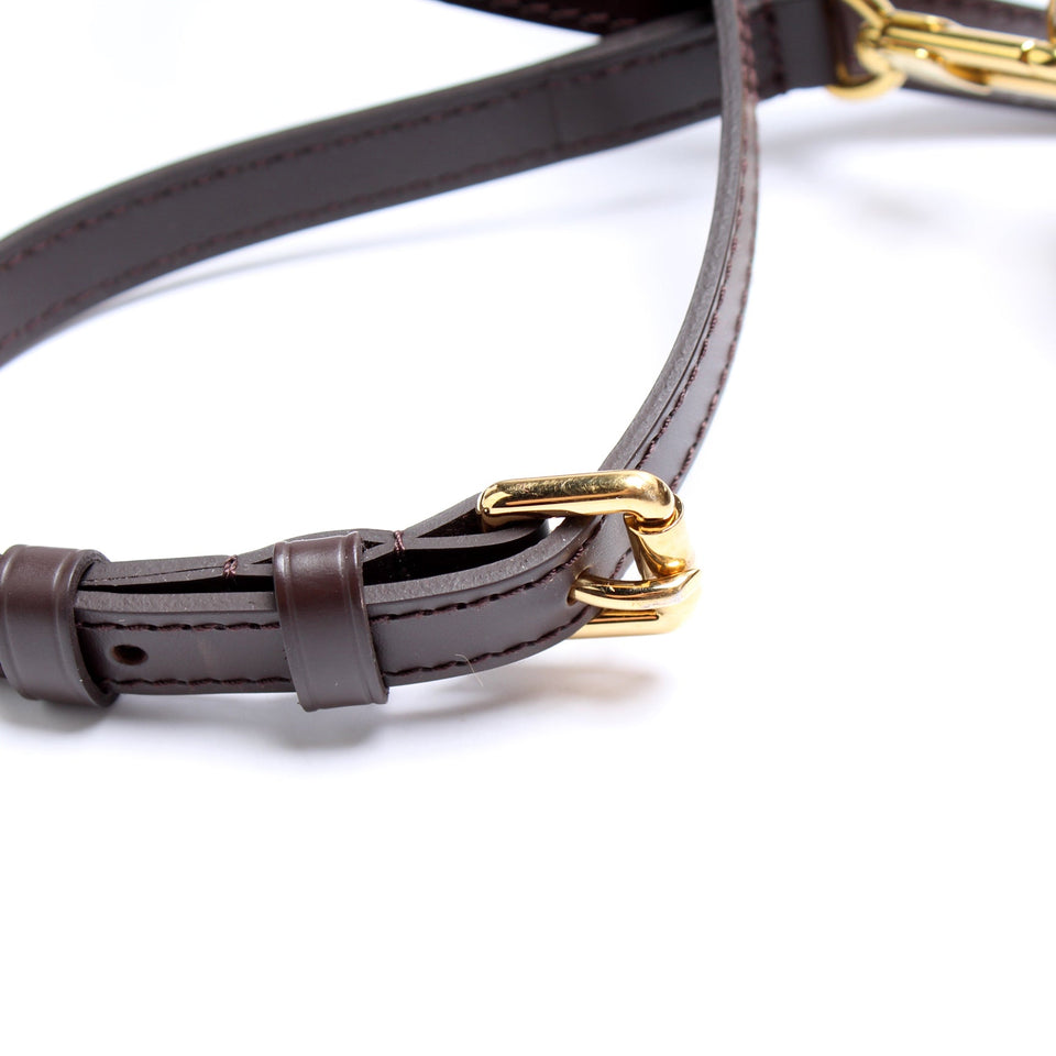 Siena MM Damier Ebene