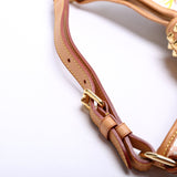 Chrissie MM Multicolor Monogram