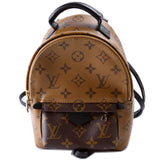 Palm Springs Mini New Version Reverse Monogram