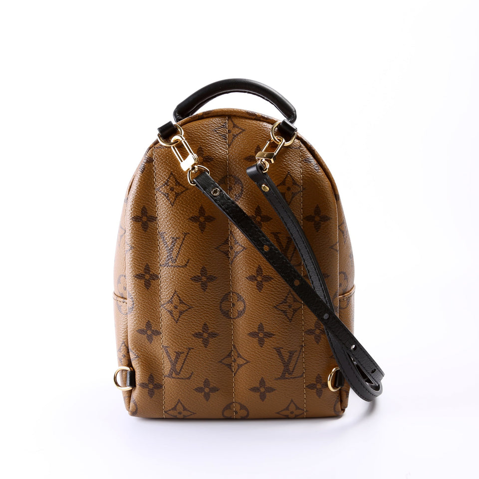 Palm Springs Mini New Version Reverse Monogram