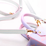 Petit Sac Plat Giant Spring in the City Monogram