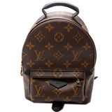 Palm Springs Mini Monogram 2021+