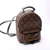 Palm Springs Mini Monogram 2021+