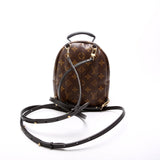 Palm Springs Mini Monogram 2021+