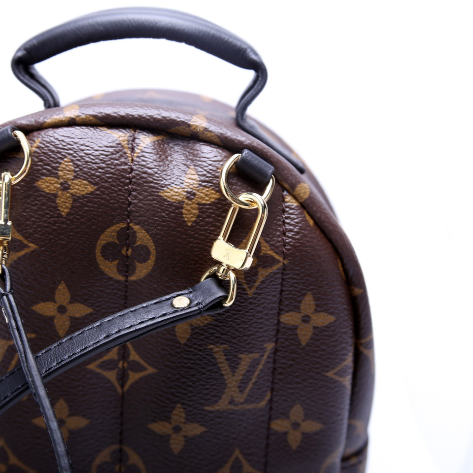 Palm Springs Mini Monogram 2021+