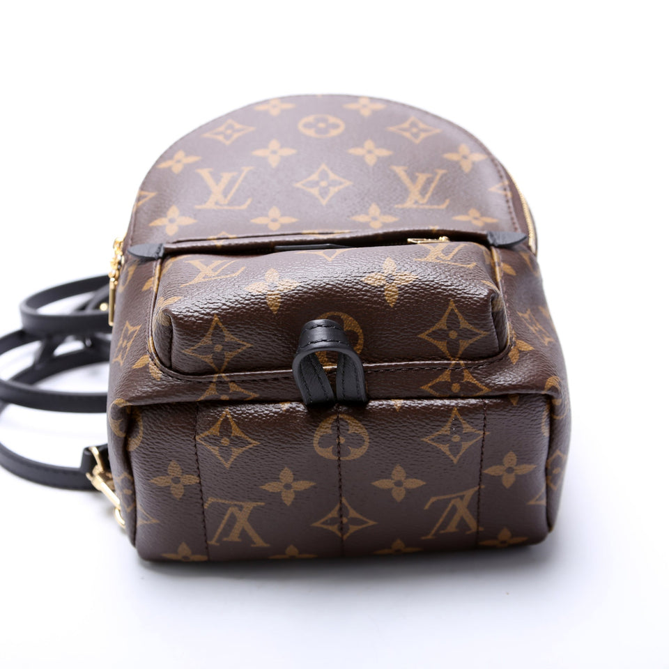 Palm Springs Mini Monogram 2021+