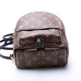 Palm Springs Mini Monogram 2021+