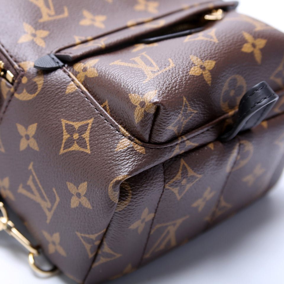 Palm Springs Mini Monogram 2021+