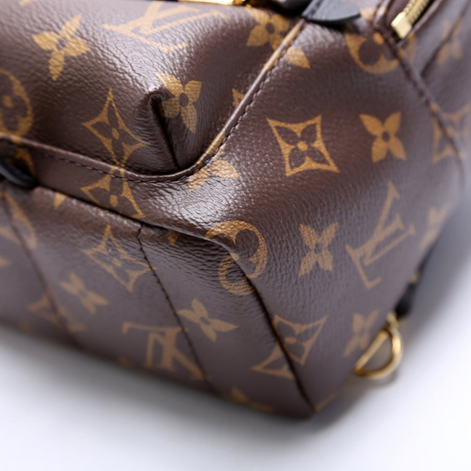 Palm Springs Mini Monogram 2021+