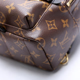 Palm Springs Mini Monogram 2021+