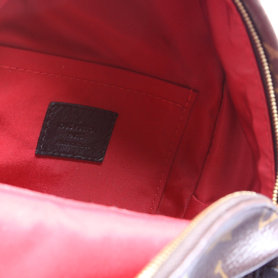 Palm Springs Mini Backpack World Tour Monogram
