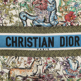 Dior color Embroidered Canvas Medium Book Tote