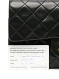 CHANEL 9 Inch Small Double Flap Bag