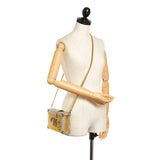 Louis Vuitton Petite Malle Gold Epi