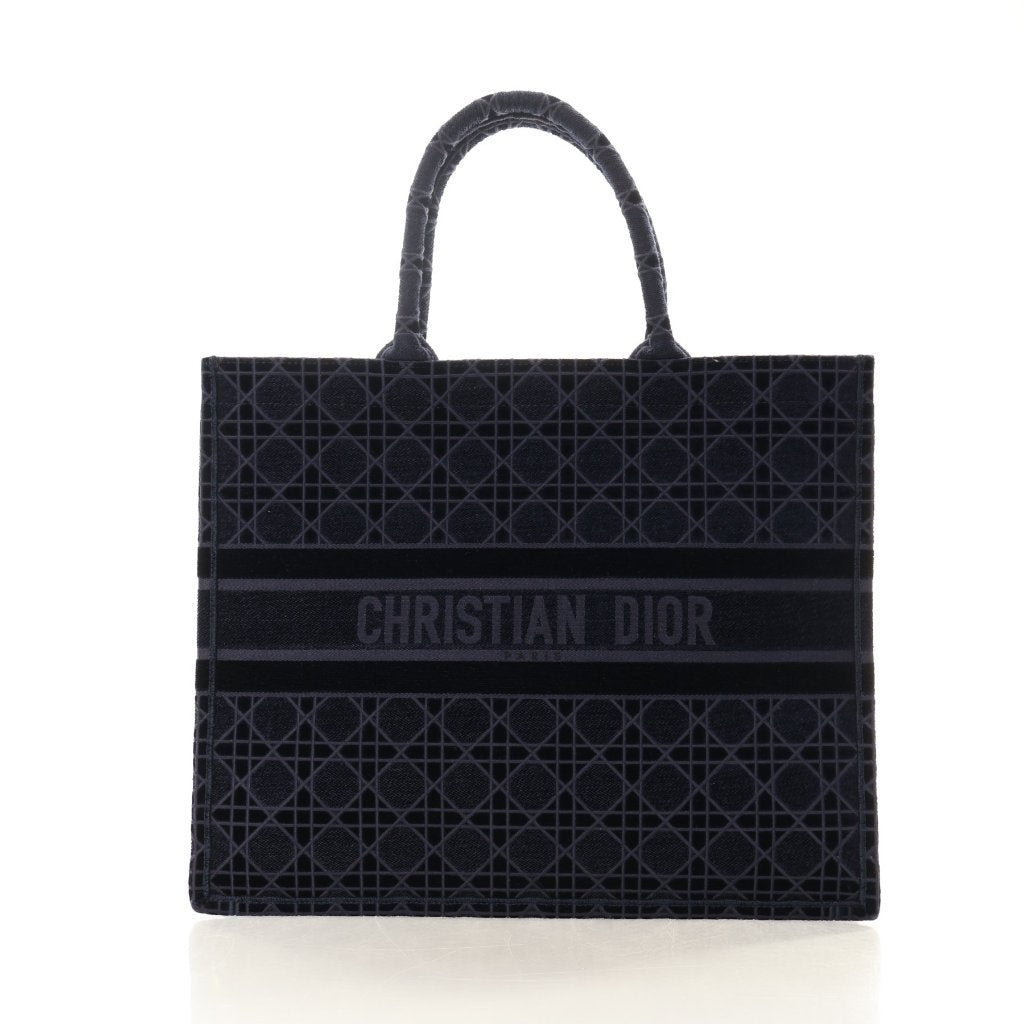 Dior Large Book Tote