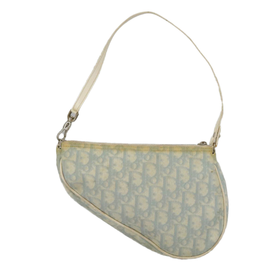 Dior Saddle  Canvas Clutch Bag