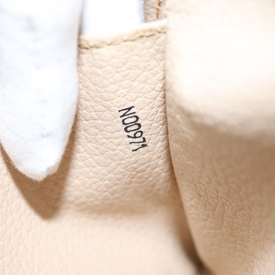 Louis Vuitton Trousse de Toilette Clutch Bag