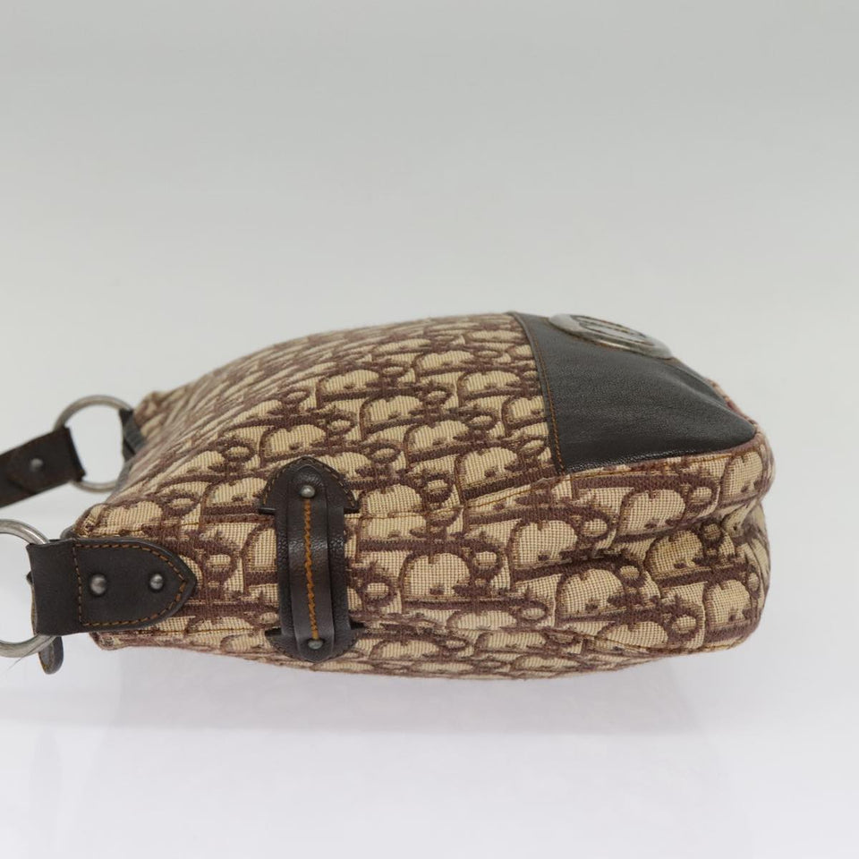 Dior Trotter  Canvas Shoulder Bag