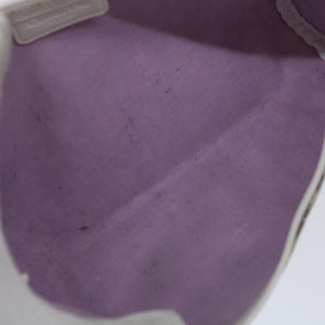 Dior Trotter  Canvas Clutch Bag