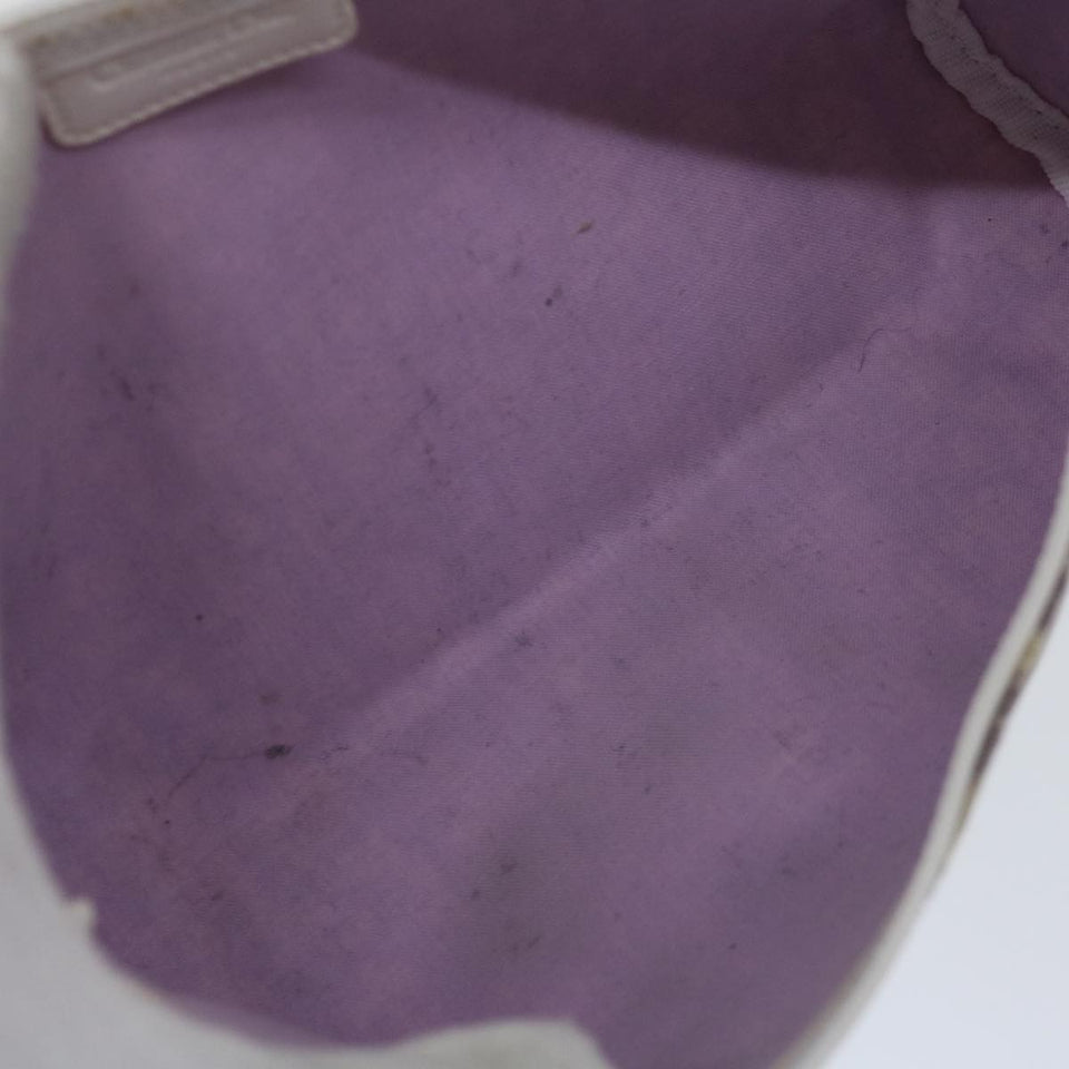 Dior Trotter  Canvas Clutch Bag