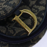 Dior Saddle  Canvas Clutch Bag