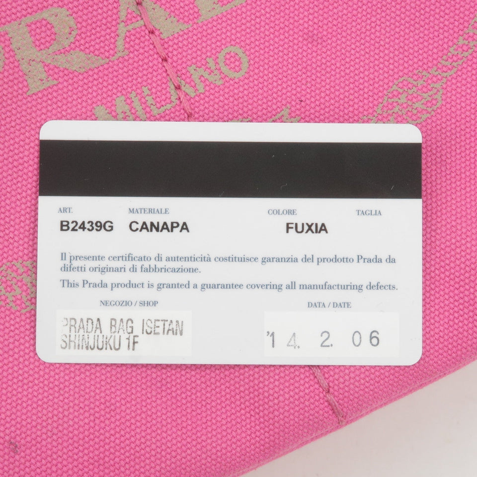 Prada Canapa Mini Canvas 2Way Bag Shoulder Bag Pink B2439G