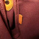 Louis Vuitton Monogram Favorite MM 2Way Shoulder Bag M40718
