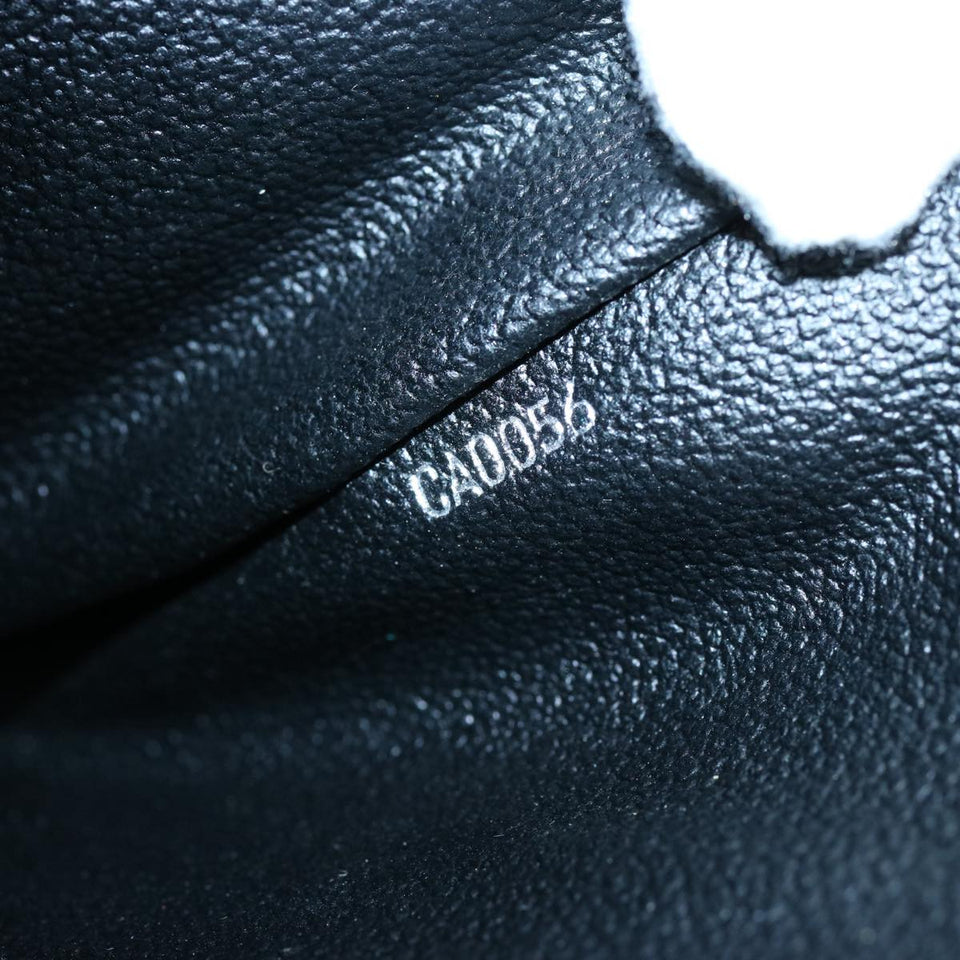 Louis Vuitton Clutch Bag