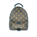 Louis Vuitton Monogram Canvas Palm Springs Mini Backpack