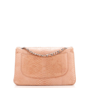 Classic Double Flap Bag Python Jumbo