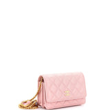 Pearl Samba Resin Wallet on Chain Quilted Calfskin