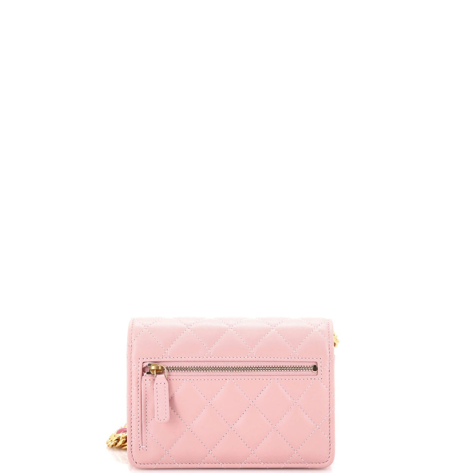 Pearl Samba Resin Wallet on Chain Quilted Calfskin