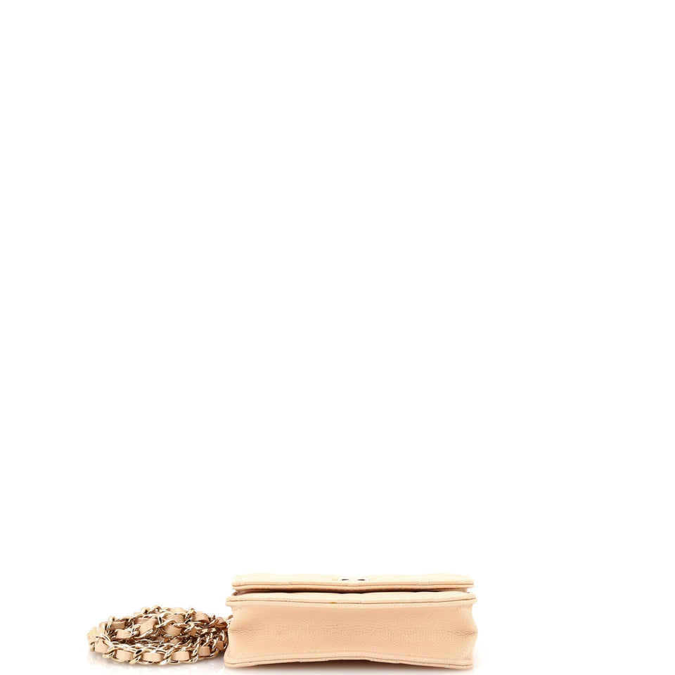 CC Pearl Coin Card Holder with Chain Quilted Iridescent Caviar