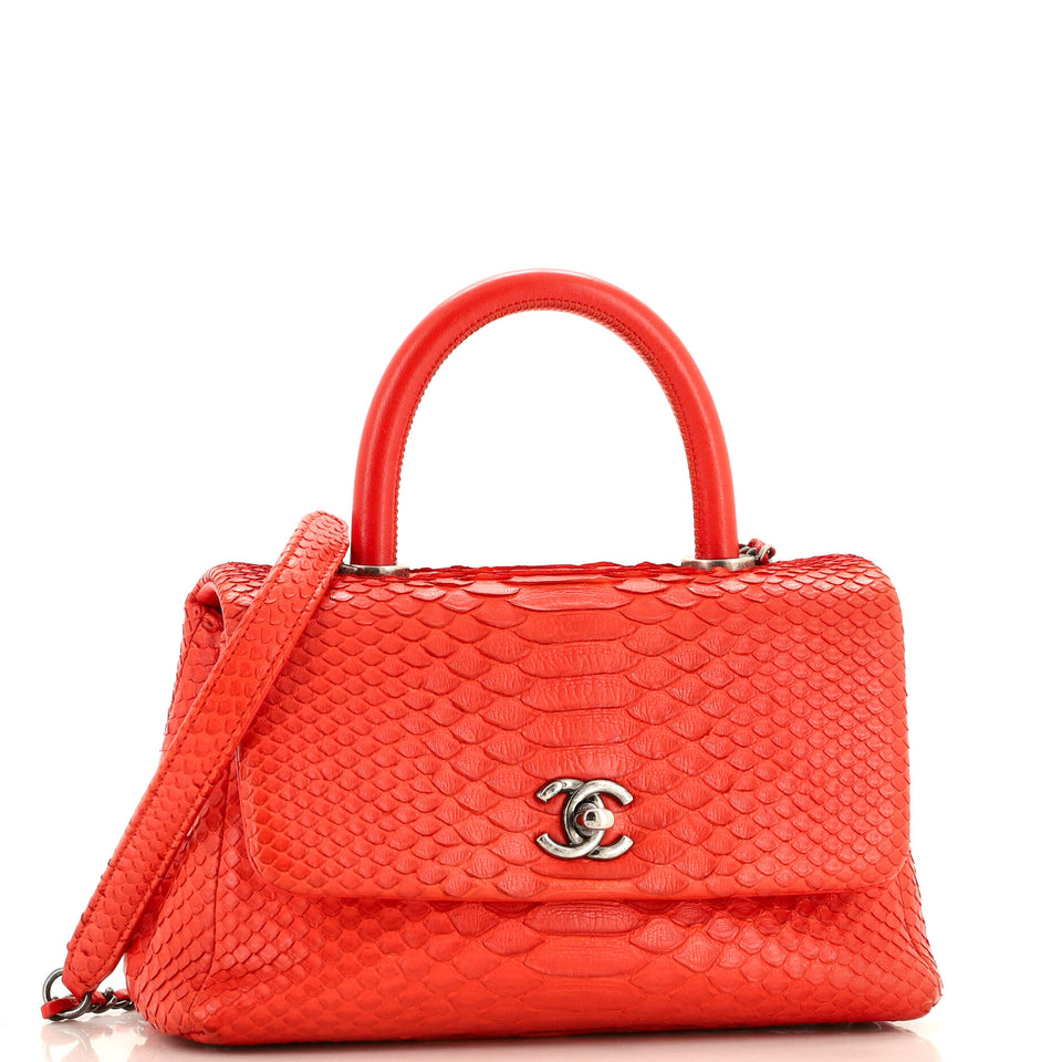 Coco Top Handle Bag Python Mini