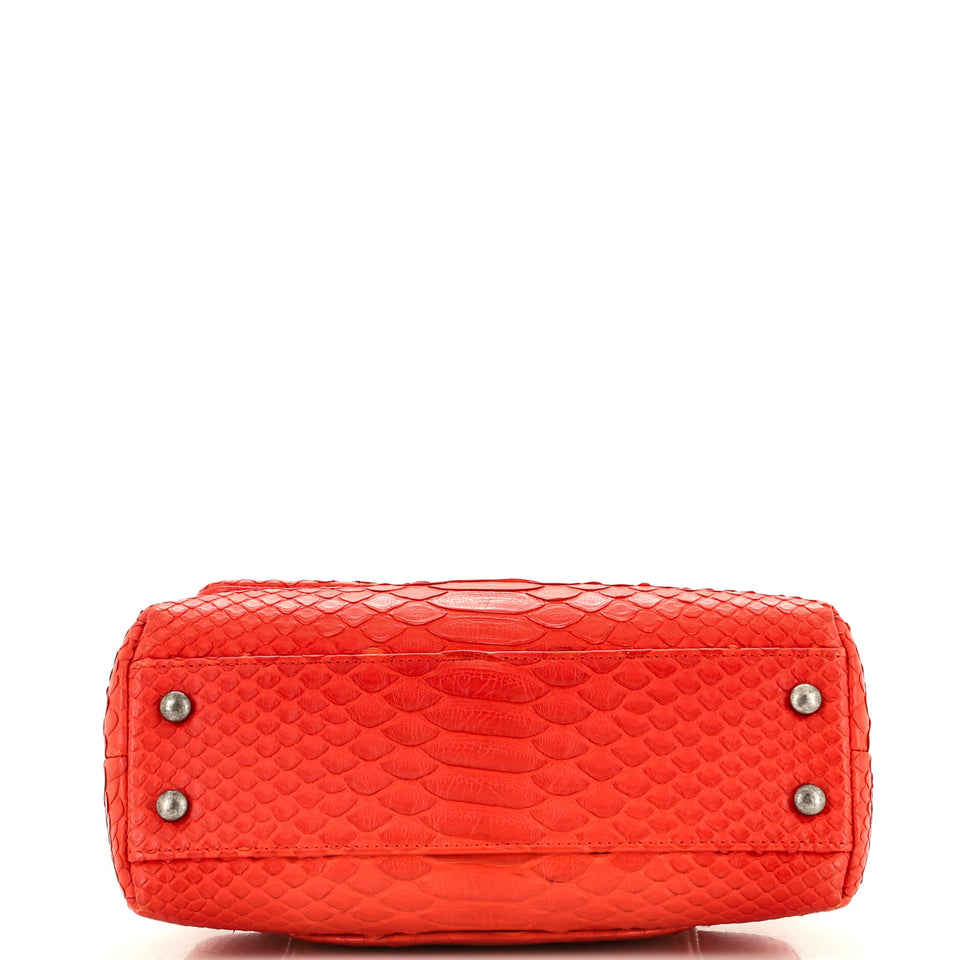 Coco Top Handle Bag Python Mini