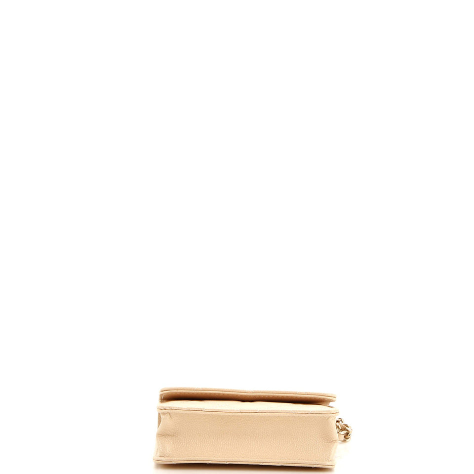 CC Pearl Coin Card Holder with Chain Quilted Iridescent Caviar