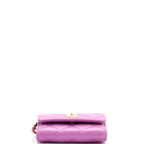 Pearl Crush Card Holder with Chain Quilted Lambskin